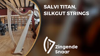 Salvi Titan silkgut strings [upl. by Karab]