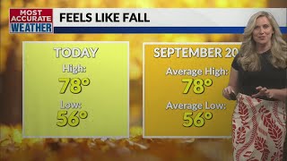 Fall fells continue before heavy rain moves into the Ozarks [upl. by Meerak]