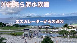 沖縄美ら海水族館 海人門からエスカレーターを降りながら海を眺める動画 [upl. by Jeggar]