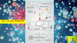 Immunology  Infection Tamil Part 2 [upl. by Einej684]