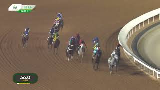 Race Replay R9  G1 Saudi Cup  Sat 24th February 2024 [upl. by Doykos]