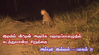 Shocking Leopard Road Crossing in Night Near Ambuli House  Part 3  Jolly Trip [upl. by Alohs]