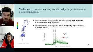 David Kappel  Spiking networks for efficient machine learning [upl. by Atnim404]