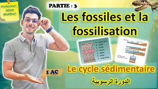 Les fossiles et la fossilisation Partie 3  Le cycle sédimentaire الدورة الرسوبية [upl. by Camel765]