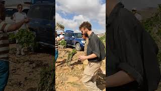 Drone Flying Over Socotra Island  Stunning Aerial Footage of Yemens Unique Landscapes [upl. by Eidoj]