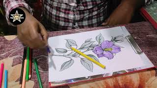 How To Colour A Beautiful Purple Colour Flower 🌺🌺🌺 Full Colour Art Tutorial [upl. by Engvall]