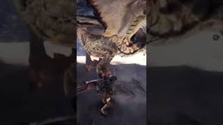 MHW LEGIANA legiana mhw mhworld mhw2024 monsterhunter monsterhunterworld monsterhunt [upl. by Liggett]