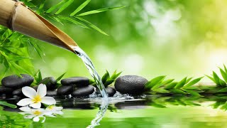 Relaxing Music  Spa Music Massage Yoga Sleep Music Running Water Stress Relief Music Zen [upl. by Ardnahsal551]