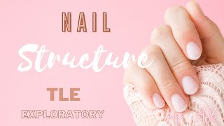 Nail Structure  Nail Care Services  TLE [upl. by Ahsikym77]