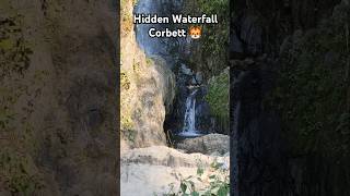 Hidden Waterfall Near Corbett 🐯 travel shorts nature jimcorbettexperience [upl. by Jacki]