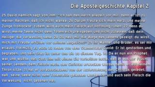 Die Apostelgeschichte Kapitel 2 [upl. by Eanel]