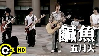 五月天 Mayday【鹹魚 Salted Fish】Official Music Video [upl. by Eanram]