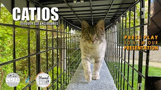 Catio Outdoor Cat Cage Enclosure Systems [upl. by Pul]