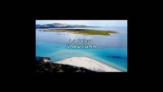 La Pelosa Isola Piana e l’Asinara 🫏🫏🌊 un INCANTO ❤️ travel amazing sardegna shorts [upl. by Enialem885]