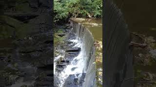 Skipton Castle Woods Waterfall Yorkshire Dales UK Full Virtual Walk Tour 4K [upl. by Arba]