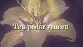 Brilha linda flor  deixe o espírito ir LETRA 🥀 [upl. by Floeter]