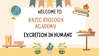 Board Exam Special Series Excretion In Humans [upl. by Lula]