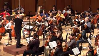 MAHLER Symphony No 5 Adagietto  Northwestern Cello Ensemble [upl. by Neerol]