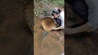 Bass fishing videos ytshorts shorts short funny trending love tiktok viralvideo [upl. by Justinn]