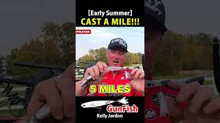 【Early Summer 06 07】CAST A MILE at Lake Champlain【GunFish】 [upl. by Elvina]