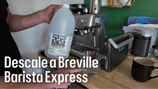 How to Descal a Breville Barista Express Espresso Machine with Vinegar [upl. by Amej]