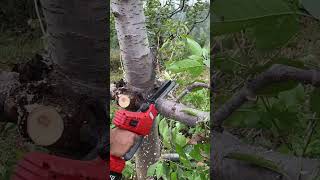 Rechargeable lithium chainsaw electric sawchainsaws hardwaretoolsviralvideo foryou [upl. by Rubetta]