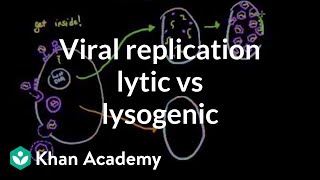 Viral replication lytic vs lysogenic  Cells  MCAT  Khan Academy [upl. by Assirolc]