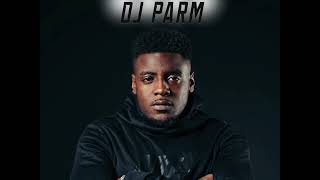 Akon ft Mist  Locked Up Remix  DJ PARM [upl. by Merdith236]