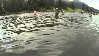 Sockeye Fishing at Russian River confluence [upl. by Vasti]