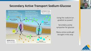 BIOL201 Ch53  Active Transport [upl. by Haianeb405]