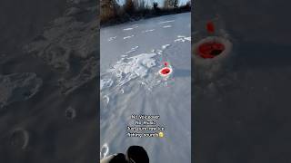 Midwest ASMR icefishing winterfishing viralvideos shorts wintersport [upl. by Pomfret409]