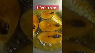 ilishmach recipe cookingideas ilishfishrecipe cookingrecipes food viralshorts banglarecipe [upl. by Davita983]