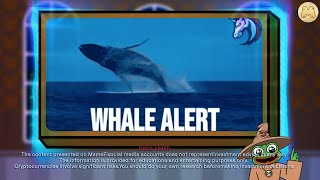 How To Avoid the Whale Trap Spot Big Moves in Crypto  MemeFi [upl. by Mays102]