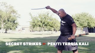 Secret Strikes of the Filipino Martial Art PekitiTirsia Kali [upl. by Kassandra]