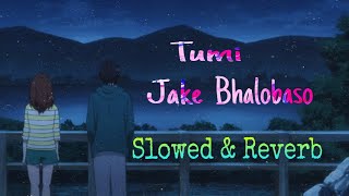 Tumi Jake Bhalobasho  Slowed and Reverb  Praktan  Iman  Anupam [upl. by Darcee]