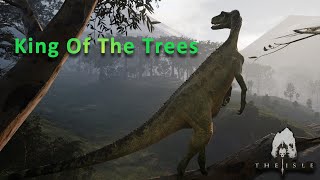 A Solo Herrerasaurus Experience  The Isle Evrima Gameplay [upl. by Eintihw]