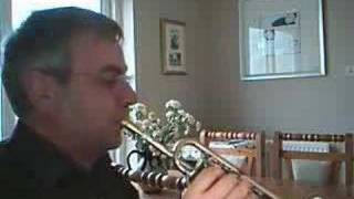 Telemann La Vaillance 12 Heroic Marches  piccolo trumpet [upl. by Ivah]