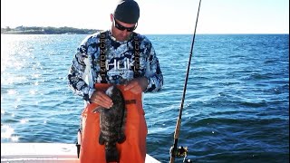 New England Blackfishing  Jamestown RI Tautog fishing Oct 2021 4K [upl. by Johppa]