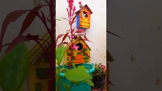 घरौंदा 🏠🕊 Bird House Making at Home trending artandcraft diy papercrafts childrendayspecial [upl. by Ressan24]