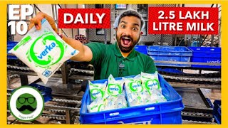 25 Lakh Litre Milk Daily  Packet Milk Factory Tour  How Packet Milk is Made  Veggie Paaji [upl. by Lanette]