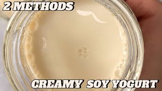 SOY YOGURT  HOW TO MAKE SOYA MILK YOGHURT [upl. by Eniale]