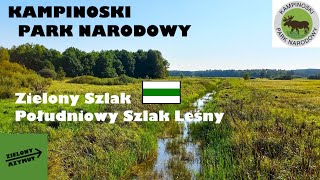 ZIELONYPOŁUDNIOWY SZLAK LEŚNY PUSZCZY KAMPINOSKIEJ Kampinoski Park Narodowy MAZOWSZE [upl. by Deloris]