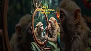 Surprising Animal Behaviors shorts animal kingdom mobeen4qureshi [upl. by Oreste]