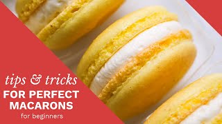 a complete guide to perfect macarons [upl. by Pagas]