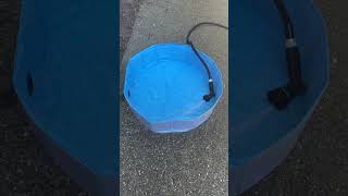 Foldable Dog Pool [upl. by Powell]