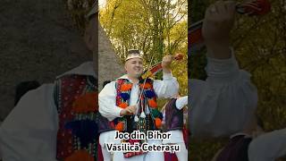 Joc din Bihor  Vasilică Ceterașu 🎻 [upl. by Shinberg]