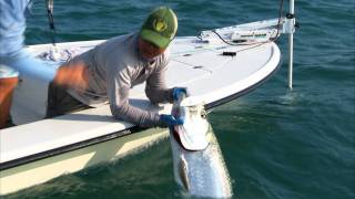 Islamorada Fly Fishing the Flats for Big Tarpon in the Florida Keys [upl. by Tecla]