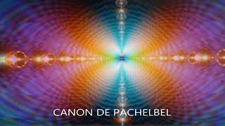 Canon de Pachelbel  Les pouvoirs de la musique sur notre métabolisme et celui des animaux [upl. by Hashum]