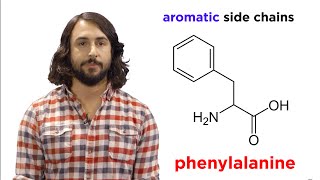 Amino Acids [upl. by Anaud]