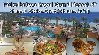 Pickalbatros Royal Grand Resort  Sharm El Sheikh Egypt Febuary 2024 [upl. by Selij]